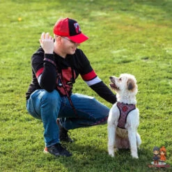 Marvel Deadpool Herren Truckercap Basecap Baseball Kappe Mütze 9 Marvel Deadpool Herren Truckercap Basecap Baseball Kappe Mütze -Bekleidung Peripherie 2200008999 5