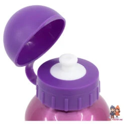 Disney Prinzessinnen Alu Sportflasche Trinkflasche Flasche 530 Ml 9 Disney Prinzessinnen Alu Sportflasche Trinkflasche Flasche 530 Ml -Bekleidung Peripherie 51260 C