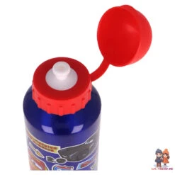 Disney Cars Lightning McQueen 2 Tlg. Lunch Set 3Kammer Brotdose Alu-Trinkflasche 19 Disney Cars Lightning McQueen 2 Tlg. Lunch Set 3Kammer Brotdose Alu-Trinkflasche -Bekleidung Peripherie 51534 D