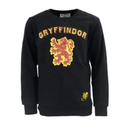 Harry Potter Gryffindor Kinder Jungen Pullover Sweater 10 Harry Potter Gryffindor Kinder Jungen Pullover Sweater -Bekleidung Peripherie gr shirt j 01c