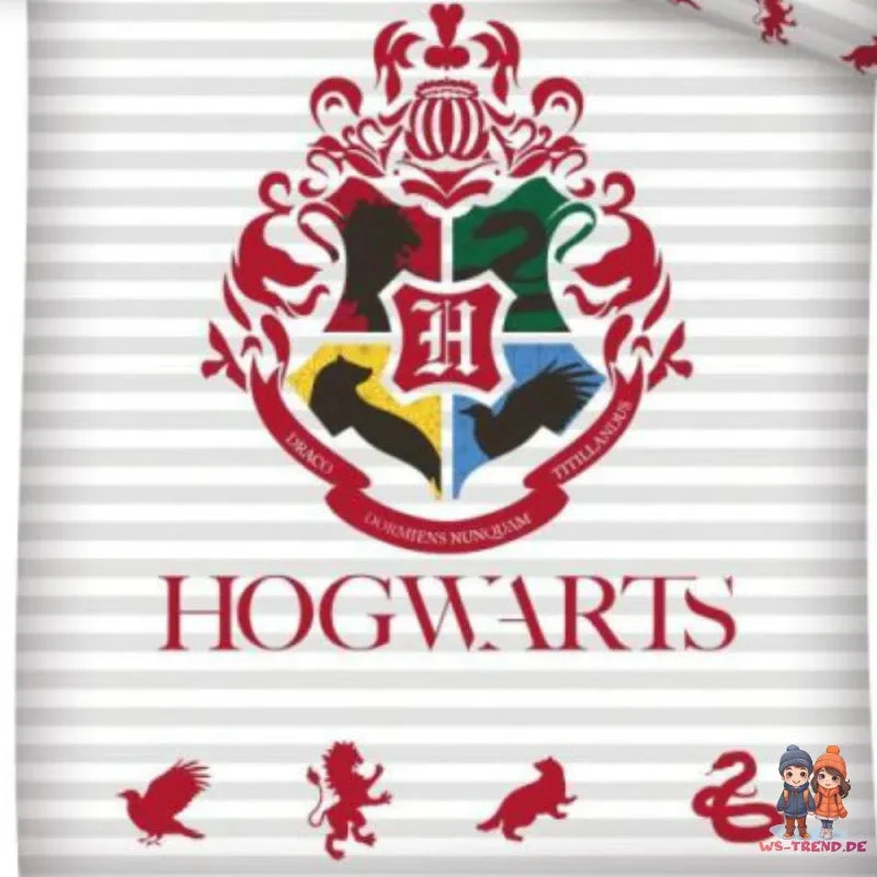 Harry Potter Hogwarts Bettwäsche 2tlg Set 135x200 80x80 Cm 100% Baumwolle 4 Harry Potter Hogwarts Bettwäsche 2tlg Set 135x200 80x80 Cm 100% Baumwolle – Bild 2