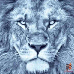 Löwen Bettwäsche 2tlg Set 135-140x200 70x90 Cm 100% Baumwolle -Bekleidung Peripherie lw bettw 01c