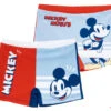 Disney Mickey Maus And Friends Kinder Badehose Shorts -Bekleidung Peripherie mickey maus friends kinder badehose shorts 401