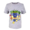 Paw Patrol Super Heroes Kinder T-Shirt Grau 1 Paw Patrol Super Heroes Kinder T-Shirt Grau -Bekleidung Peripherie patrol super heroes kinder shirt grau 707